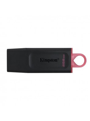 MEMORIA USB 256GB KINGSTON...