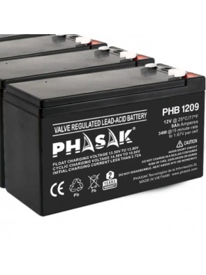 Batería Phasak PHB 1209...